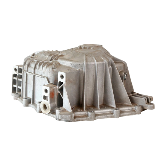 ŞANZUMAN KAPAĞI