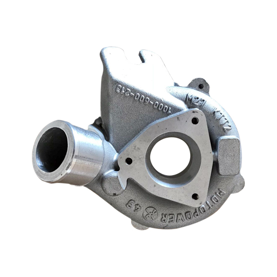 TURBO SALYANGOZ